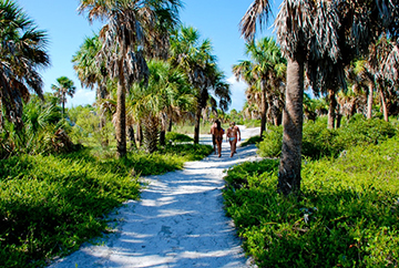 path at Egmont Key