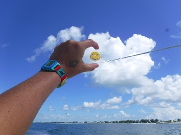 parasail